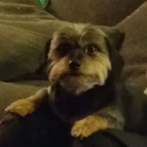 Meet your Posher, Christopher